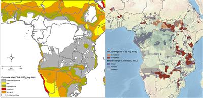 A Spanner in the Works: Human–Elephant Conflict Complicates the Food–Water–Energy Nexus in Drylands of Africa